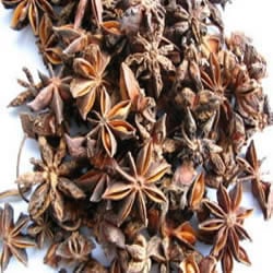 Star Herb