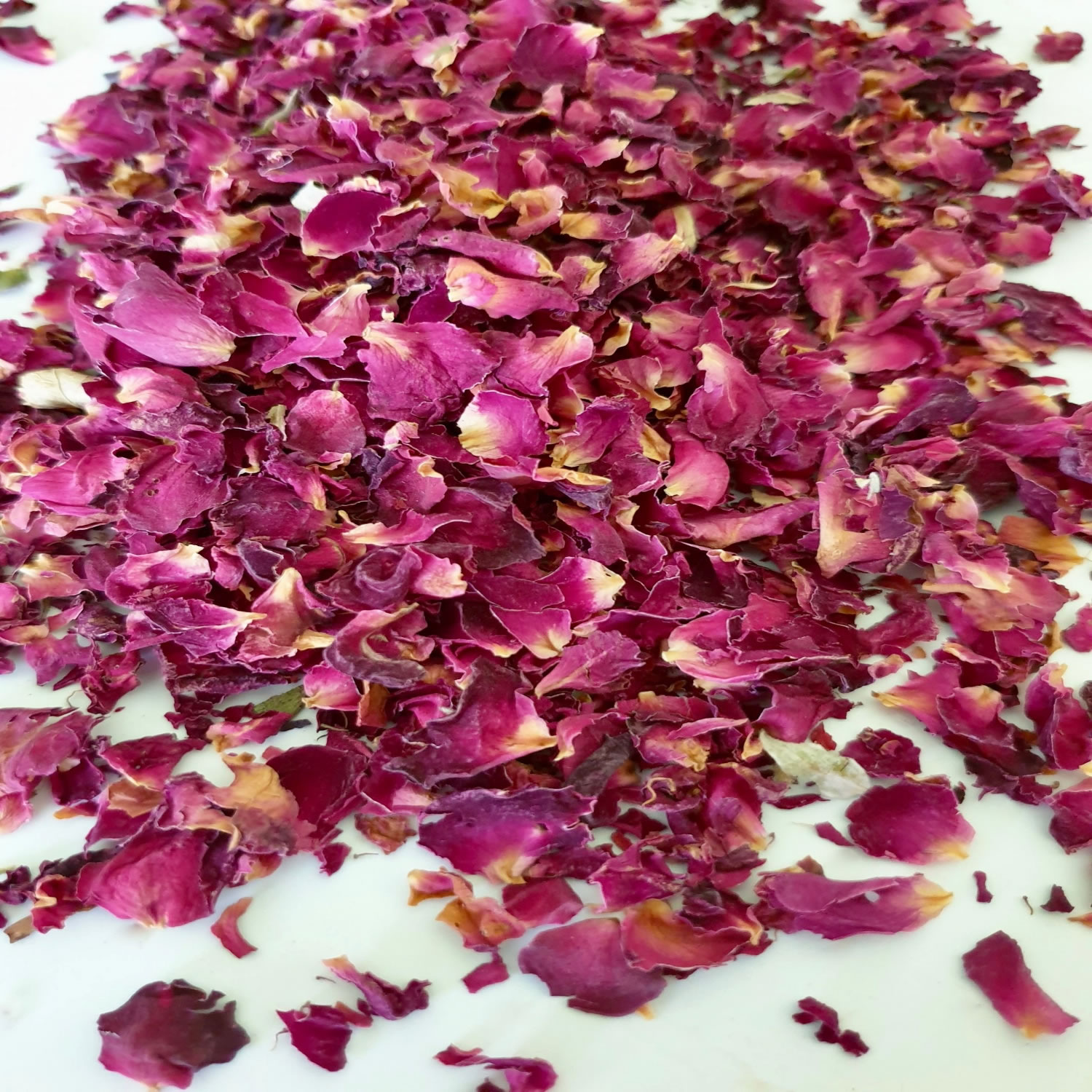 Red Rose Petals - Pure, All Natural & Edible Rose Algeria