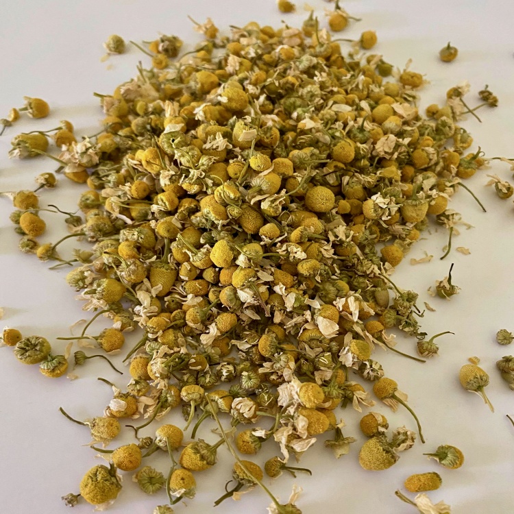 Chamomile Premium Flower